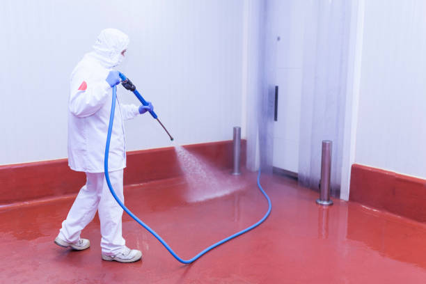 Best Patio and Deck Pressure Washing  in Manito, IL
